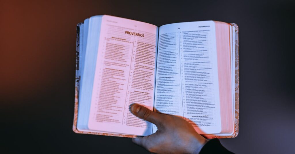 A person holds an open Bible with Proverbs highlighted, bathed in warm light.