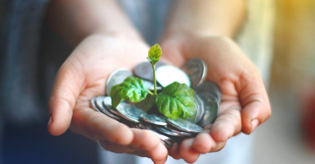 Hands cupping coins with a green plant sprouting, symbolizing financial growth.